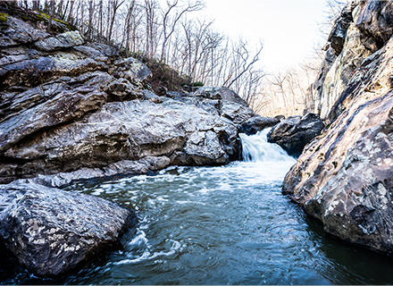 Great Falls